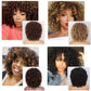 Afro Kinky Curly Wig Short Wigs with Bangs
