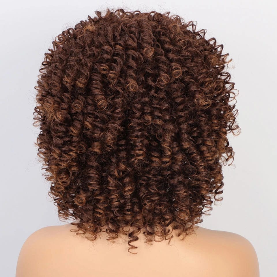 Afro Kinky Curly Wig Short Wigs with Bangs