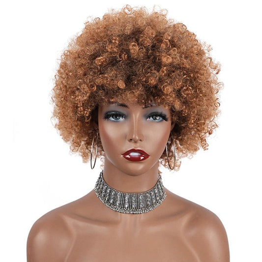 Short Afro Curly Wigs for Women